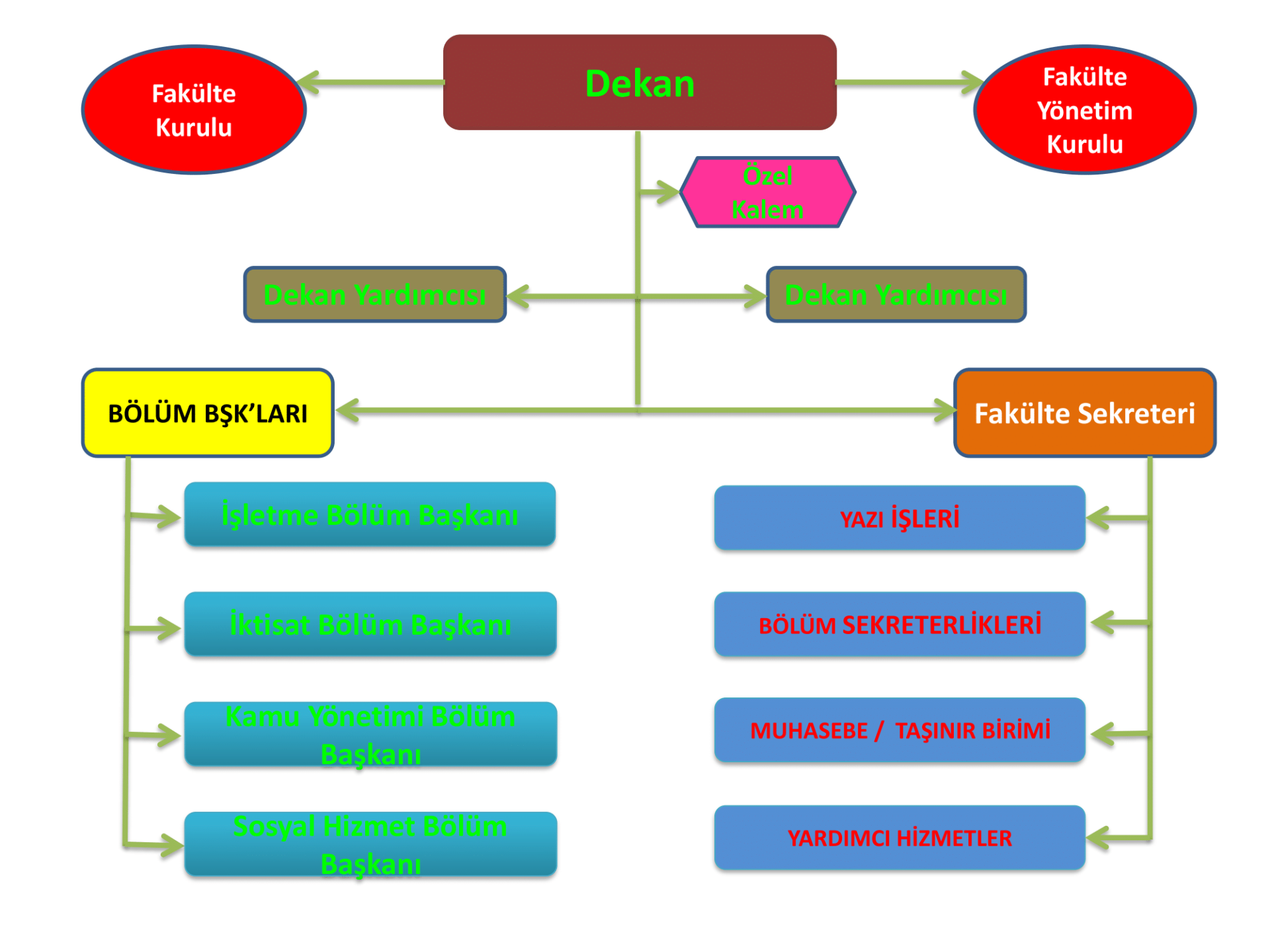 iibf-organizasyon şeması-1.png